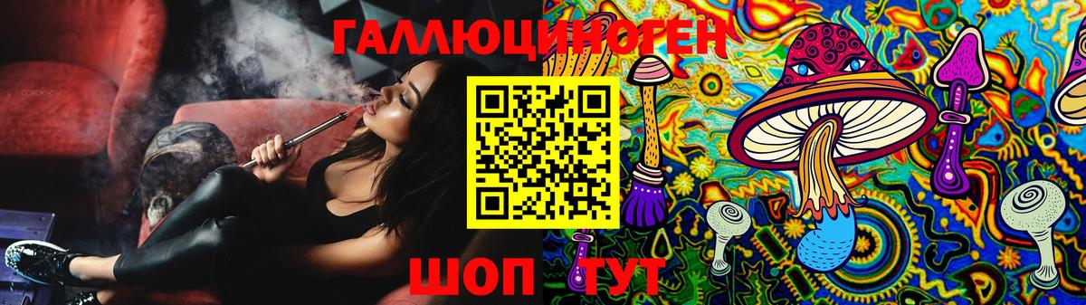 Галлюциногенные грибы Psilocybe  Вход с VPN  Воткинск  Псилоцибиновые грибы прущие грибы 